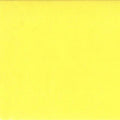 Bella, solids, daffodil