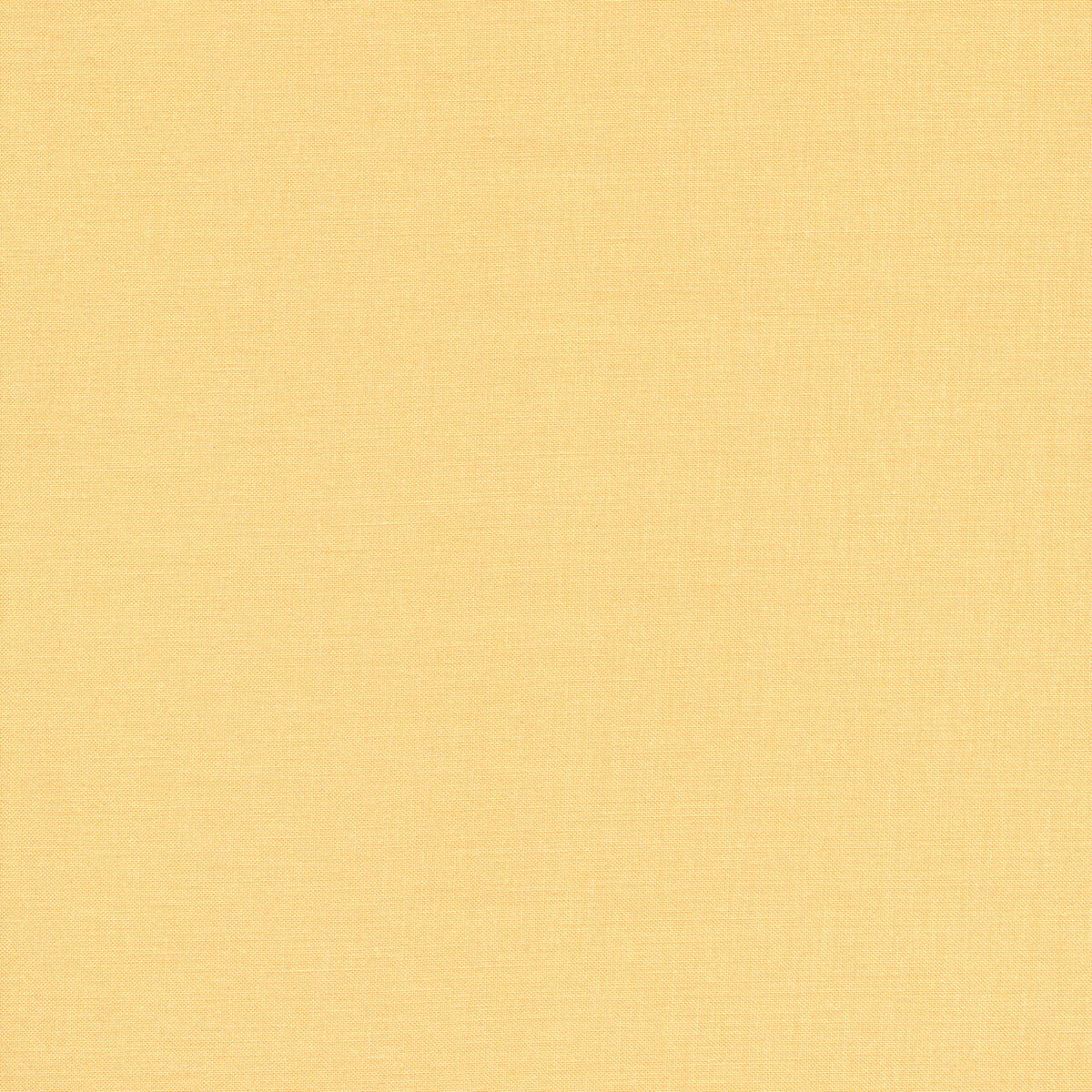 Bella, solids, canary