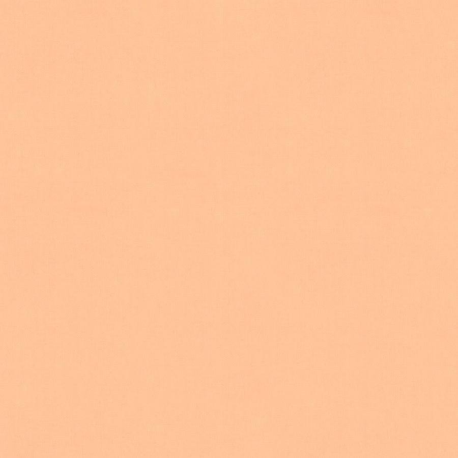 Bella solids, apricot