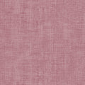 Beloved, medium rose
