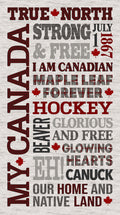 My Canada-True North Strong & Free, panel