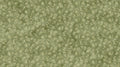 Stonehenge Organics, green floral