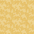 Buzzin' with My Gnome, yellow honeycomb