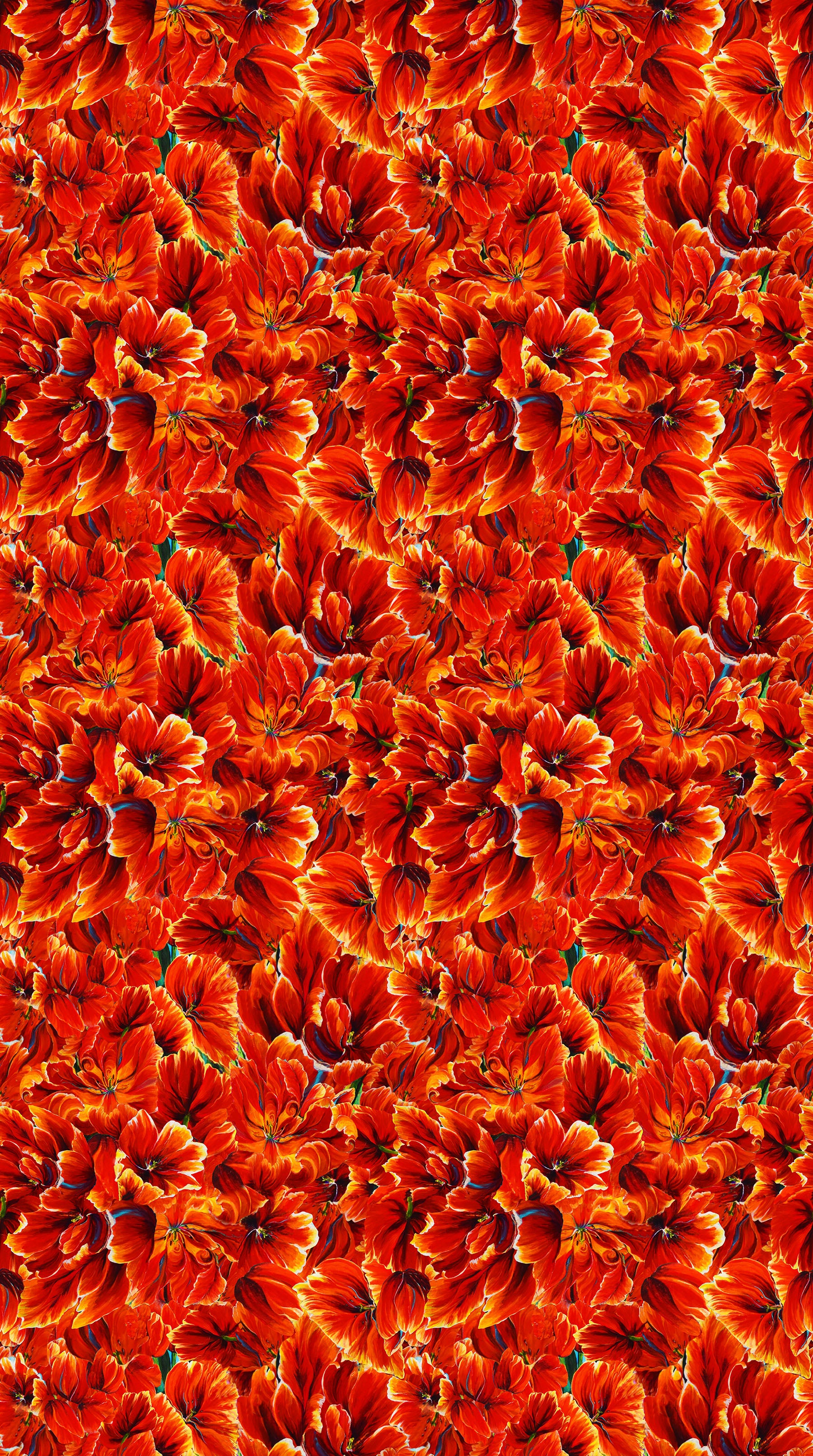 Tulip Festival, deep orange