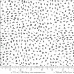 Dwell in Possibility-ivory