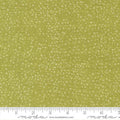 Tulip Tango, chartreuse