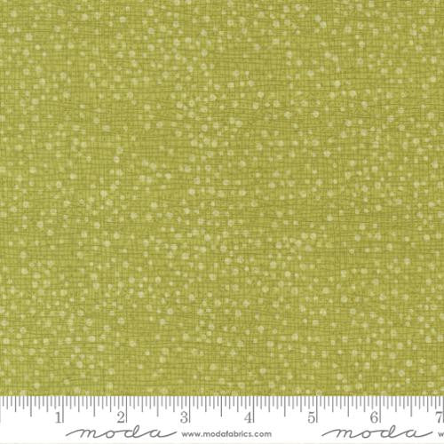 Tulip Tango, chartreuse