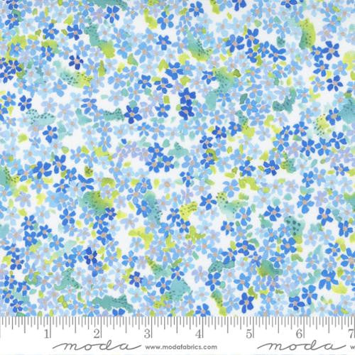 Eufloria, digital sky