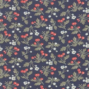 Daybreak - Evening 244-17