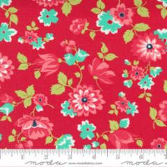 Shine On - blossom red