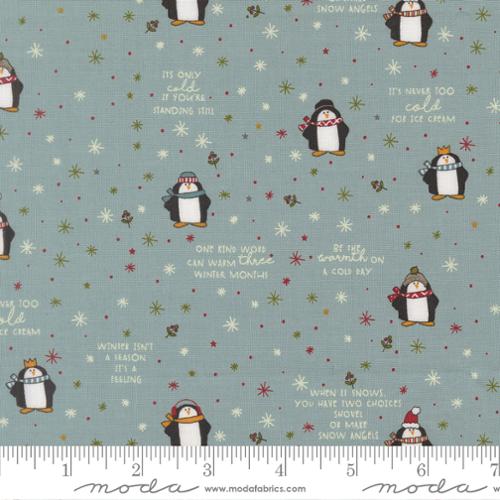Chilly, storm with penguins