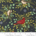When Snow Falls, night sky with winter birds