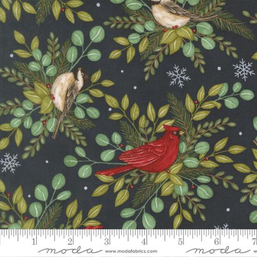 When Snow Falls, night sky with winter birds