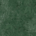 2048 Basic, evergreen