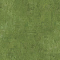 2049 Basic, grass