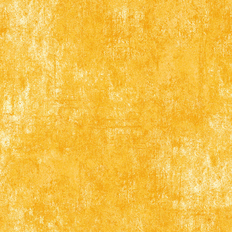 2053 Basic, mango