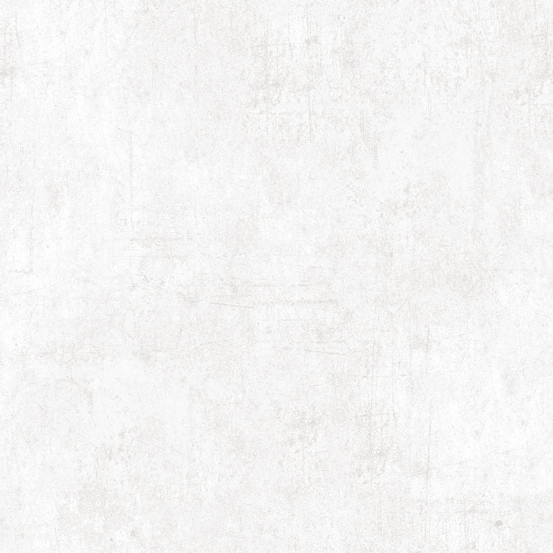 2056 Basic, fog