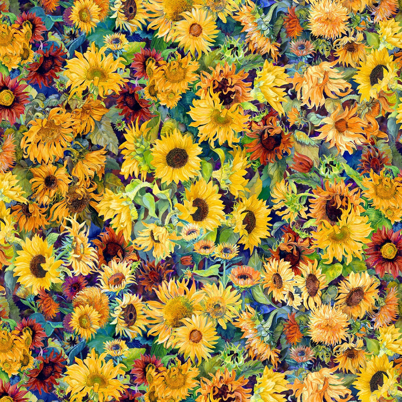 Flowers of the Sun, sunflowers