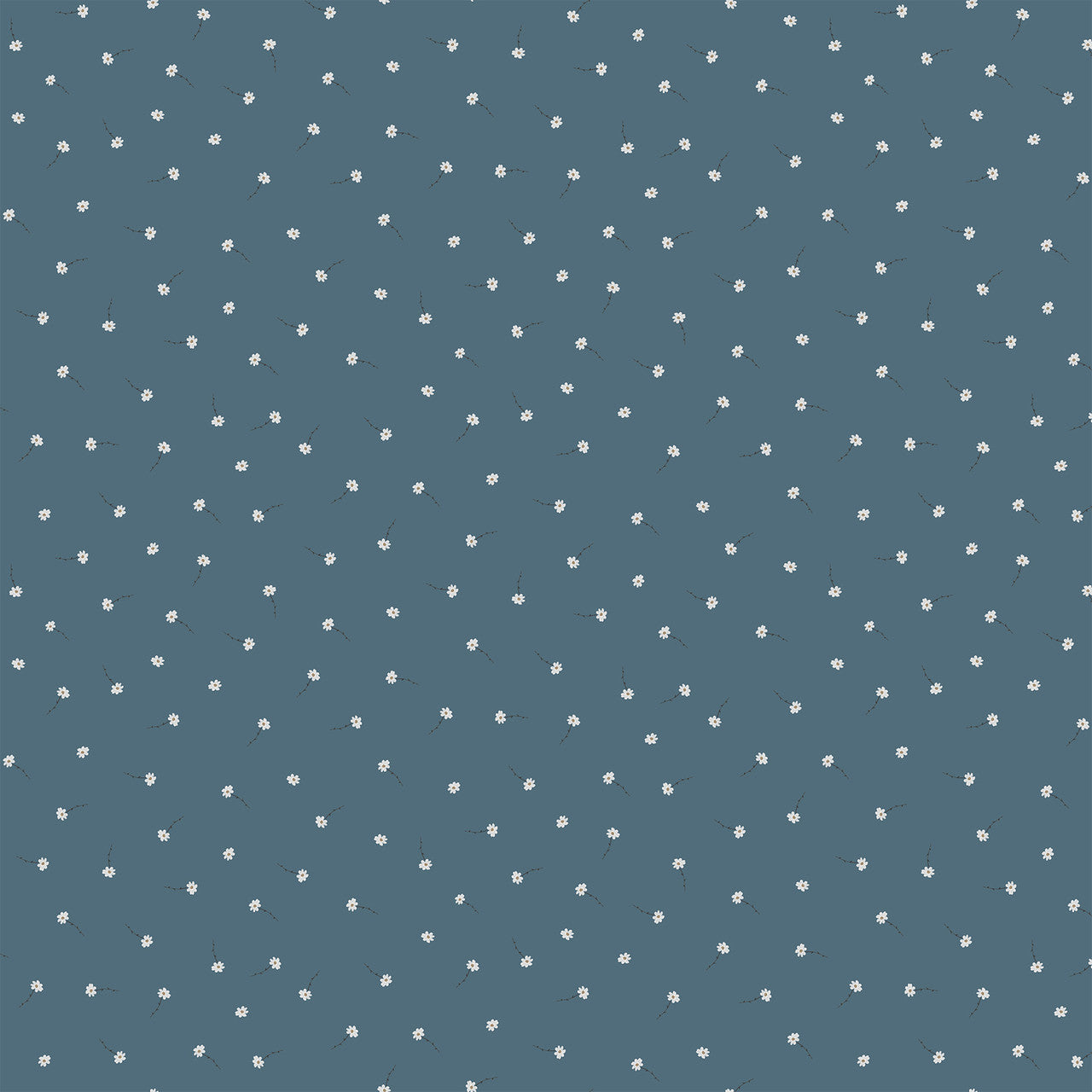 Birdwatch - 90443-45