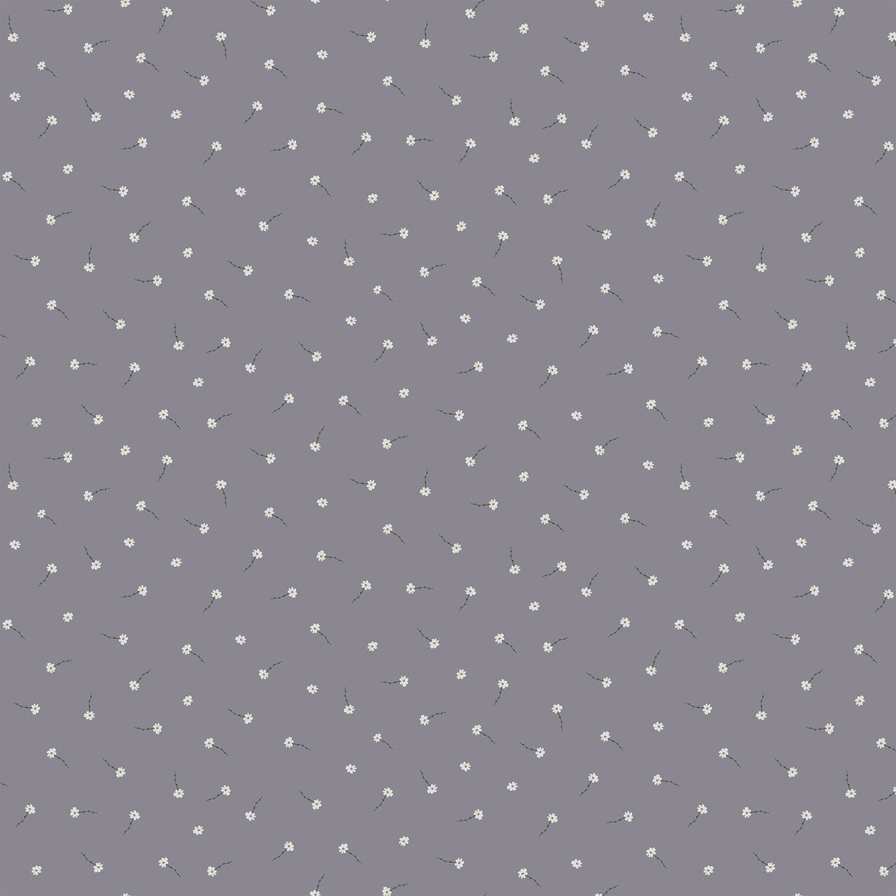 Birdwatch - 90443-80