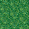 Chroma, rainforest