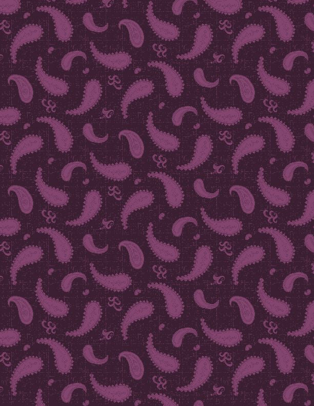 Rainbow Sampler, large paisley, dark purple