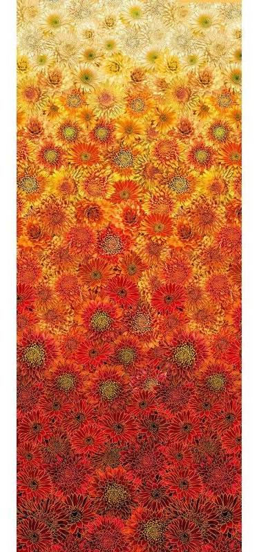 Thankful, autumn ombre