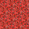 Poppy Meadow, red multi poppies