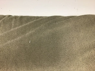 Fireside, WB, Fireside light brown