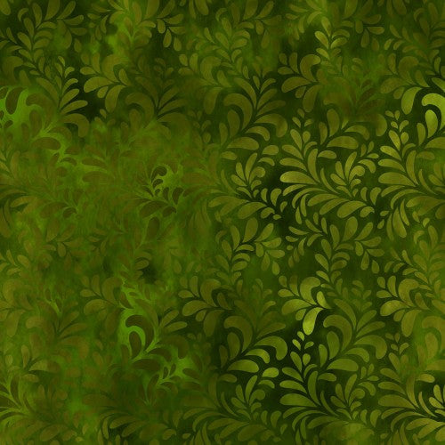 Rainbow of Jewels-green succulents