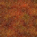 Resplendent - Autumn, twigs