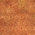 Resplendent - Autumn,  paisley tonal