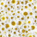 Hand Picked-Forget Me Not, digital print, daisy delight