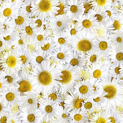Hand Picked-Forget Me Not, digital print, daisy delight