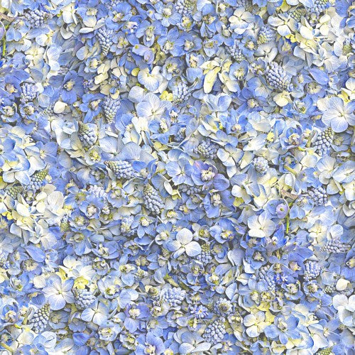 Hand Picked-Forget Me Not, digital print, pale skies