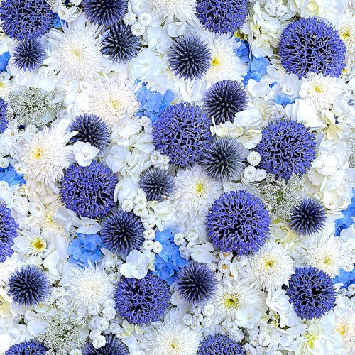 Hand Picked-Forget Me Not, digital print, globe thistle