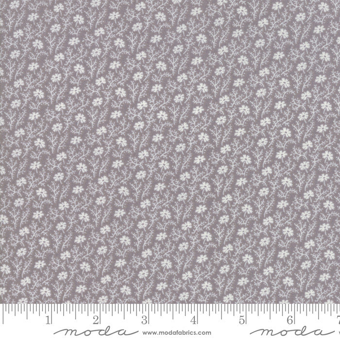 Urban Farmhouse Gatherings-Ash Grey Milk Aster